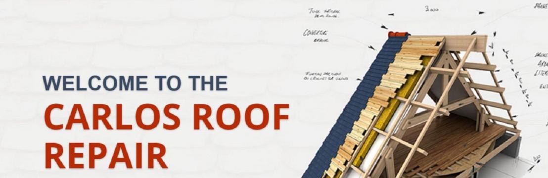 Carlos  Roofer